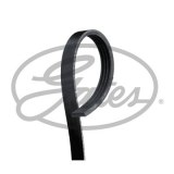 Courroie Gates 4PK1070