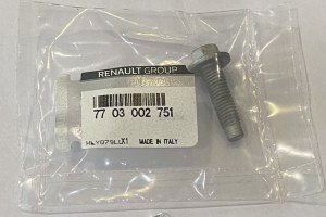 Vis M8x125 Renault 7703002751